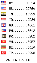 visitors by country counter
