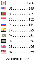 visitors by country counter