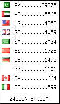 visitors by country counter