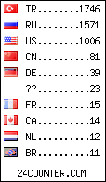 visitors by country counter