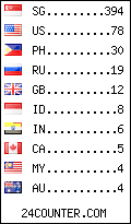 visitors by country counter