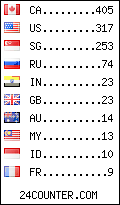 visitors by country counter