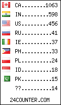 visitors by country counter