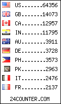 visitors by country counter