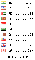 visitors by country counter