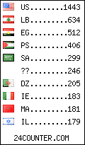visitors by country counter