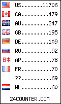 visitors by country counter