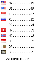 visitors by country counter