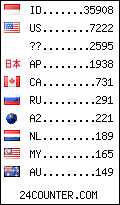 visitors by country counter