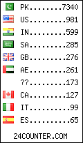 visitors by country counter