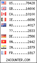 visitors by country counter