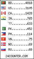 visitors by country counter