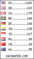 visitors by country counter