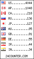 visitors by country counter