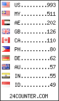 visitors by country counter