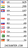 visitors by country counter