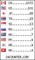 visitors by country counter