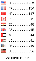visitors by country counter