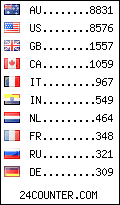 visitors by country counter