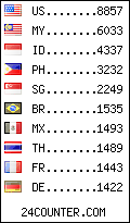 visitors by country counter