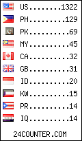 visitors by country counter
