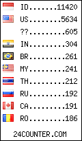 visitors by country counter