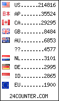 visitors by country counter