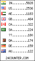 visitors by country counter