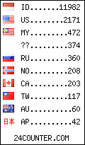 visitors by country counter