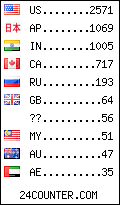 visitors by country counter