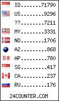 visitors by country counter