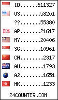 visitors by country counter