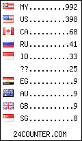 visitors by country counter