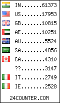 visitors by country counter