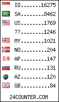 visitors by country counter