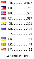 visitors by country counter