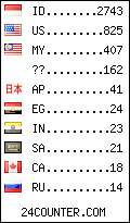 visitors by country counter