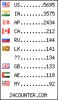 visitors by country counter