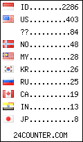 visitors by country counter