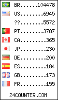visitors by country counter