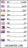 visitors by country counter