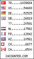 visitors by country counter