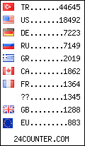 visitors by country counter