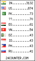 visitors by country counter