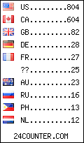 visitors by country counter