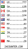 visitors by country counter