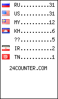 visitors by country counter