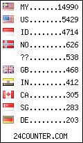 visitors by country counter