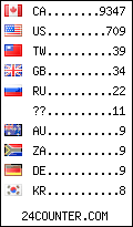visitors by country counter