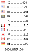 visitors by country counter